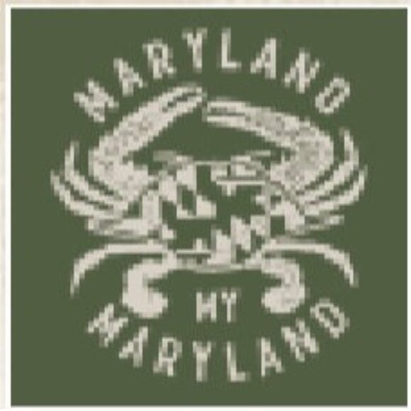 Chesapeake Bay Rockfish Camo Short Sleeve T-Shirt NEW Fast Ship - Picture 3 of 6